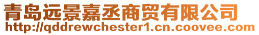 青島遠景嘉丞商貿有限公司