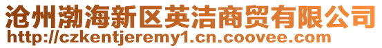 滄州渤海新區英潔商貿有限公司