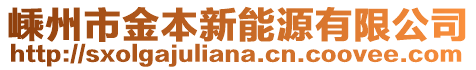 嵊州市金本新能源有限公司