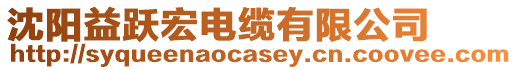 沈陽益躍宏電纜有限公司