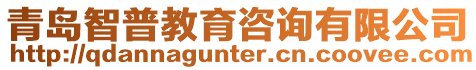 青島智普教育咨詢有限公司