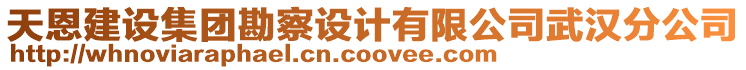 天恩建設集團勘察設計有限公司武漢分公司