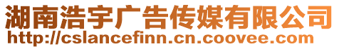 湖南浩宇廣告傳媒有限公司