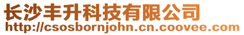 長沙豐升科技有限公司