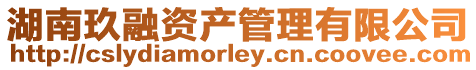 湖南玖融資產管理有限公司