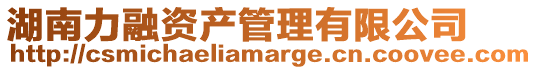 湖南力融資產(chǎn)管理有限公司