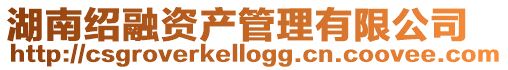 湖南紹融資產(chǎn)管理有限公司
