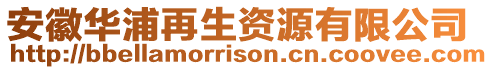 安徽華浦再生資源有限公司