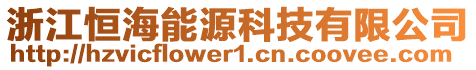 浙江恒海能源科技有限公司