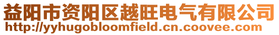 益陽市資陽區越旺電氣有限公司