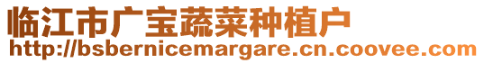 臨江市廣寶蔬菜種植戶