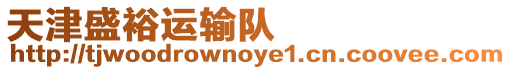 天津盛裕運輸隊