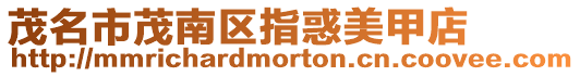 茂名市茂南區指惑美甲店