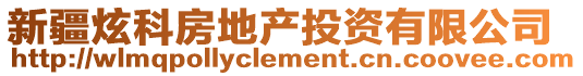 新疆炫科房地產(chǎn)投資有限公司