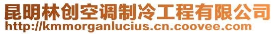 昆明林創(chuàng)空調(diào)制冷工程有限公司