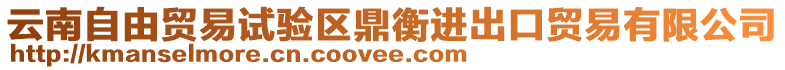 云南自由貿(mào)易試驗(yàn)區(qū)鼎衡進(jìn)出口貿(mào)易有限公司