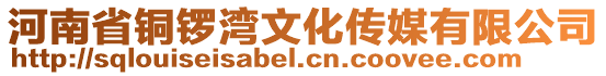 河南省銅鑼灣文化傳媒有限公司