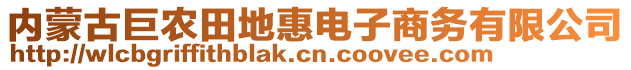 內(nèi)蒙古巨農(nóng)田地惠電子商務(wù)有限公司