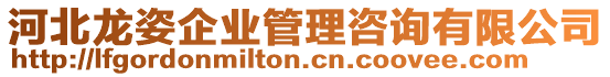 河北龍姿企業(yè)管理咨詢有限公司