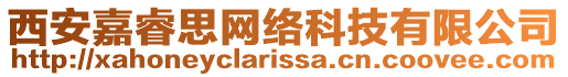 西安嘉睿思網絡科技有限公司