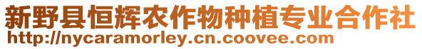 新野縣恒輝農(nóng)作物種植專業(yè)合作社