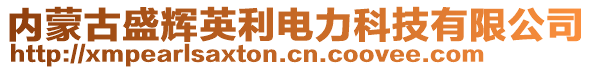 內(nèi)蒙古盛輝英利電力科技有限公司