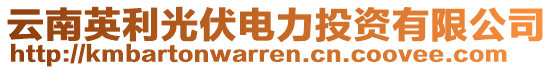 云南英利光伏電力投資有限公司