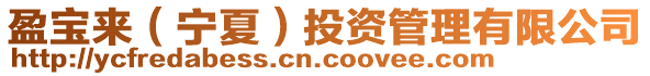 盈寶來(寧夏)投資管理有限公司