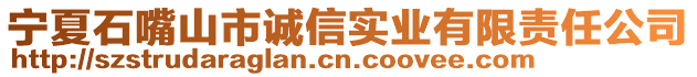 寧夏石嘴山市誠信實業有限責任公司