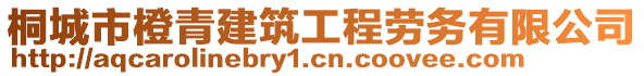 桐城市橙青建筑工程勞務有限公司