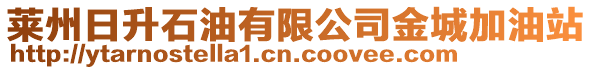 萊州日升石油有限公司金城加油站