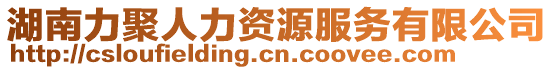 湖南力聚人力資源服務有限公司