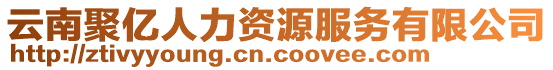 云南聚億人力資源服務有限公司