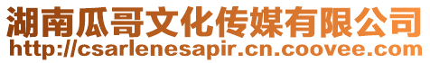 湖南瓜哥文化傳媒有限公司