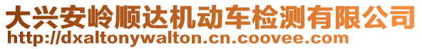 大兴安岭顺达机动车检测有限公司