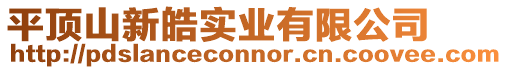 平頂山新皓實業有限公司