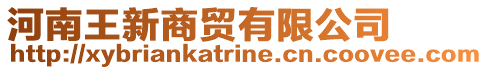 河南王新商貿有限公司