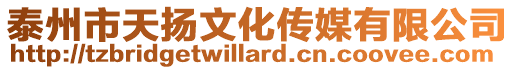 泰州市天揚文化傳媒有限公司