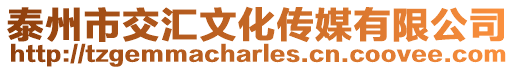 泰州市交匯文化傳媒有限公司