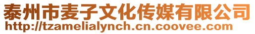 泰州市麥子文化傳媒有限公司