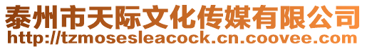 泰州市天際文化傳媒有限公司
