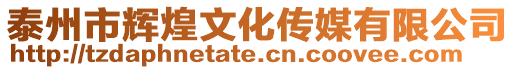 泰州市輝煌文化傳媒有限公司