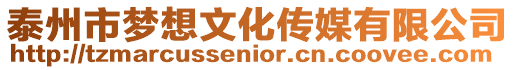 泰州市夢想文化傳媒有限公司