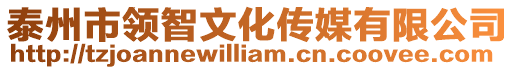 泰州市領智文化傳媒有限公司