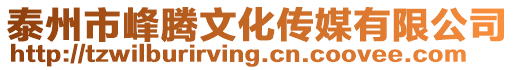 泰州市峰騰文化傳媒有限公司