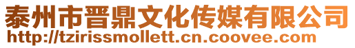 泰州市晉鼎文化傳媒有限公司