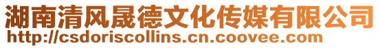 湖南清風晟德文化傳媒有限公司