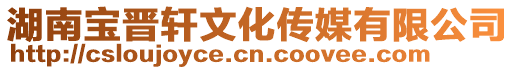 湖南寶晉軒文化傳媒有限公司
