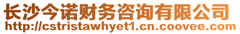 長沙今諾財務咨詢有限公司
