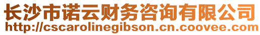 長沙市諾云財務咨詢有限公司